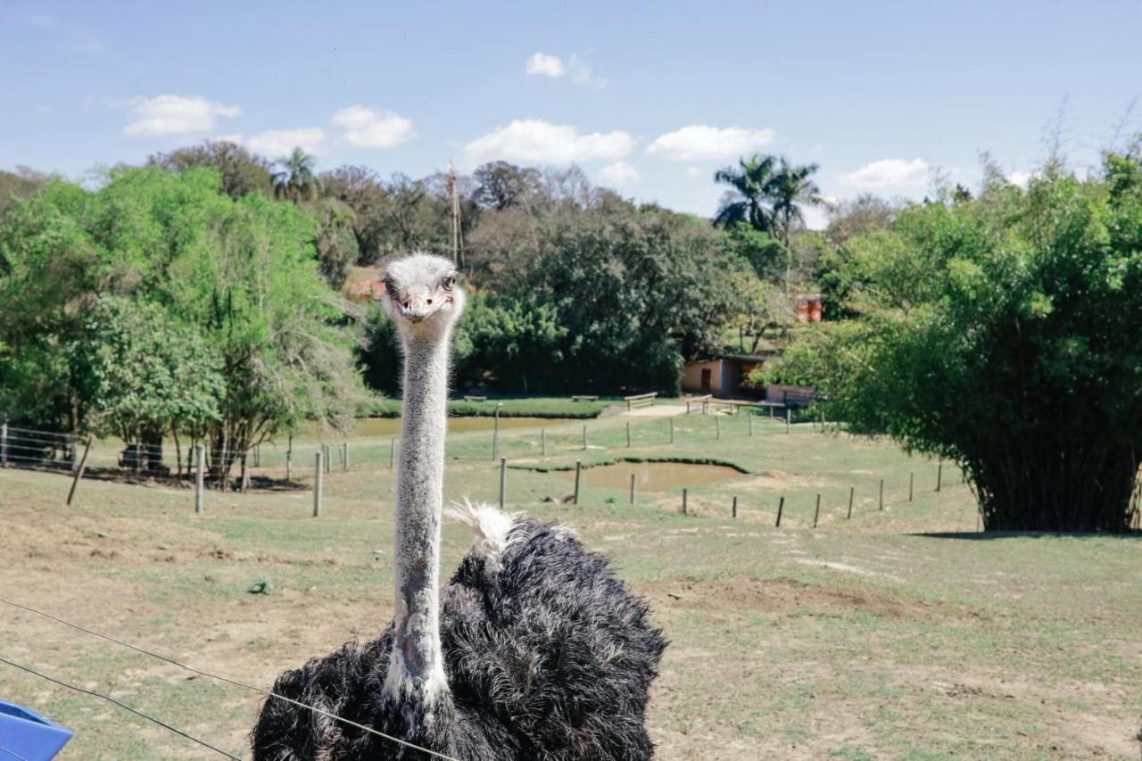 Hotel Fazenda Ararita Pôrto Feliz Exteriér fotografie