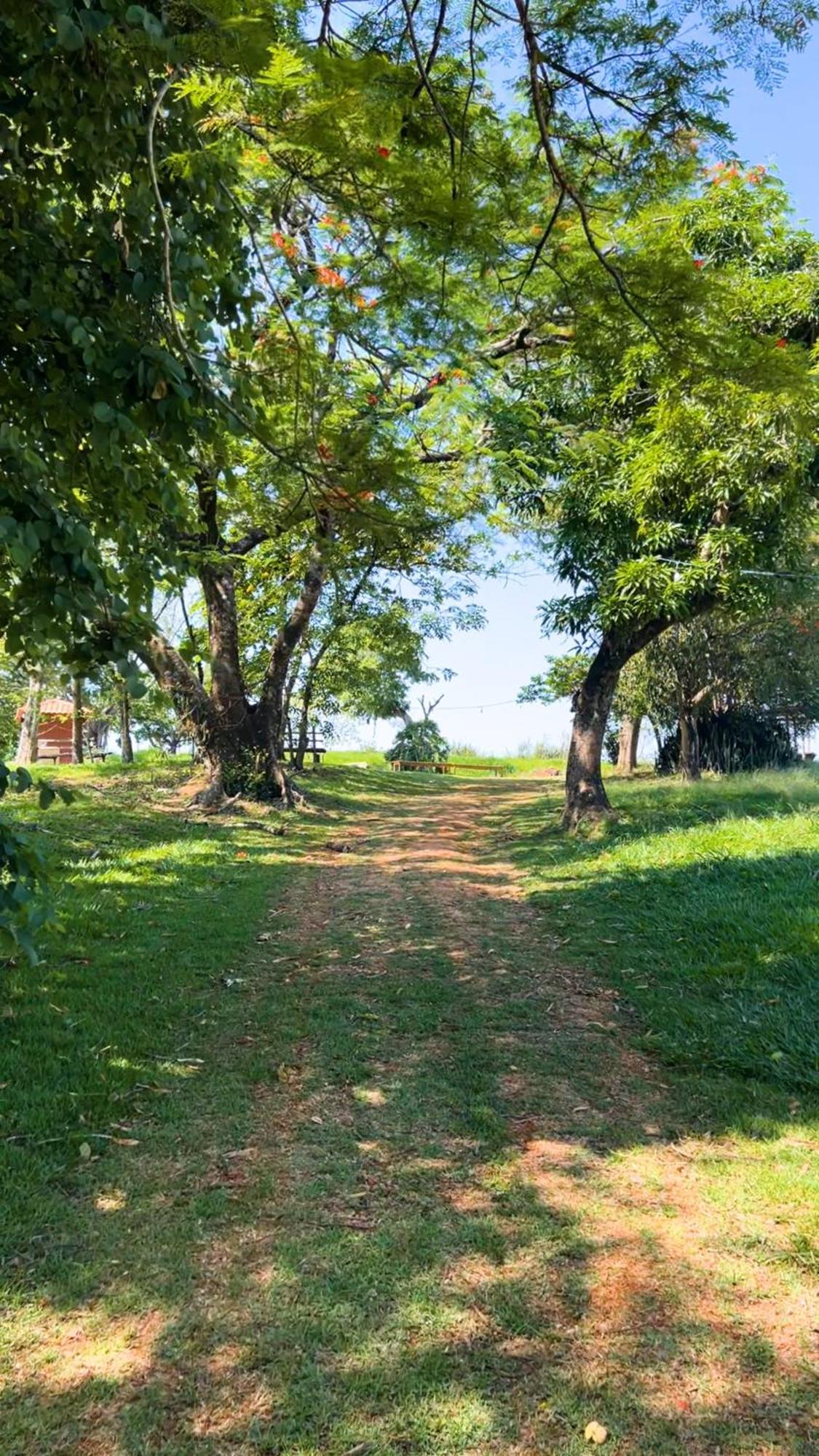Hotel Fazenda Ararita Pôrto Feliz Exteriér fotografie